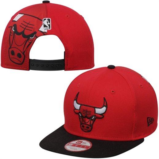 NBA Chicago Bulls NE Snapback Hat #358